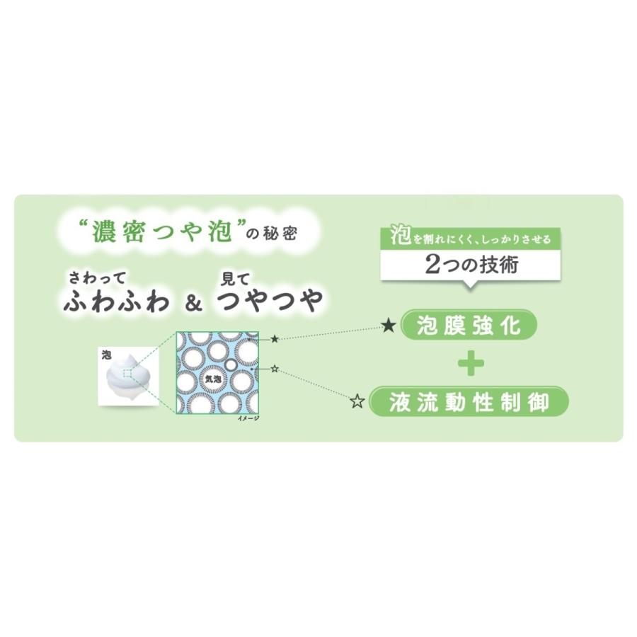 おしゃれ人気 花王 フィエスタ 洗顔 手洗いフォーム 10l 新作 Podopies Com Co