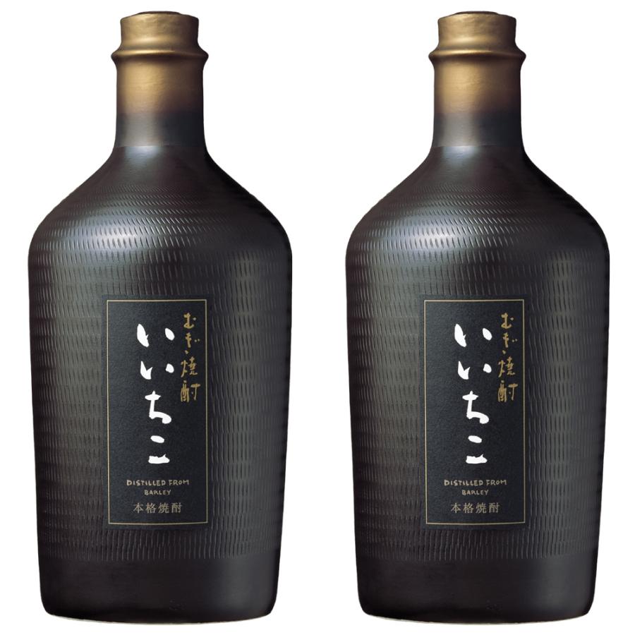 いいちこ 民陶 くろびん 25度 720ml 12本まとめ買い 関東 中部 近畿