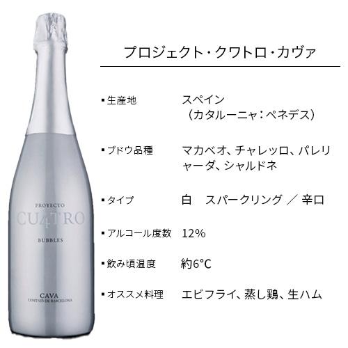 5本セット】大人のピクニックワインセット 750ml × 5本 オリジナル保冷