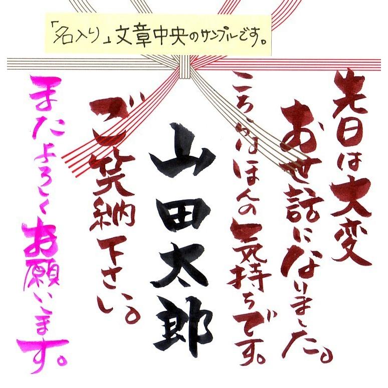 ☆必ずギフトと一緒にご注文下さい） 筆POPのし紙 「ほんの気持ちです 