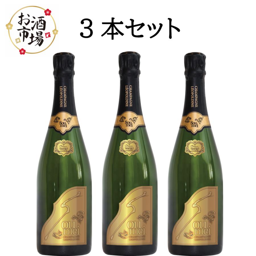 SOUMEI ソウメイブリュット3本セット 750ml×3本 : お酒市場 SOUMEI ソウメイブリュット3本セット 750ml×3本 : お酒市場