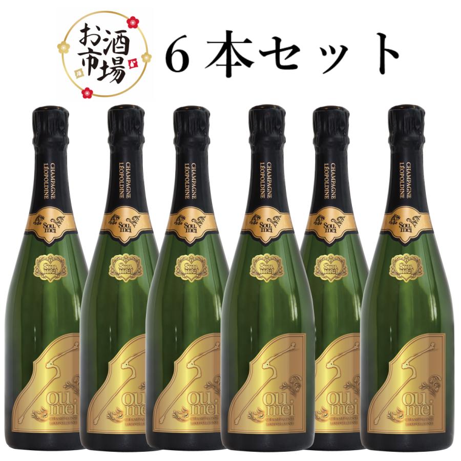 SOUMEI ソウメイブリュット 750ml×6本