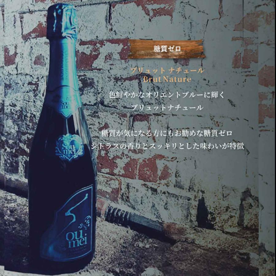 正規品>SOUMEI ソウメイ 6本セット ル・セクストゥール 750ml×6 正規品>SOUMEI ソウメイ 6本セット ル・セクストゥール 750ml×6