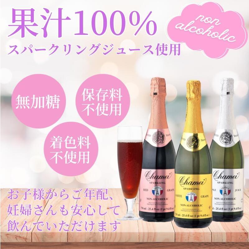 果汁100％ オリジナルラベル スパークリングジュース 750ml （白ブドウ
