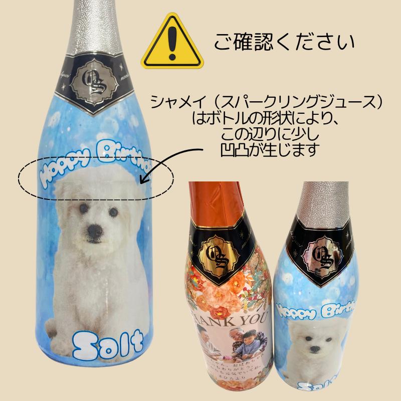 【オリジナル似顔絵ラベル描きます】りんごスパークリングジュース 名入れ オリジナルボトル フルラッピング スパークリングジュース