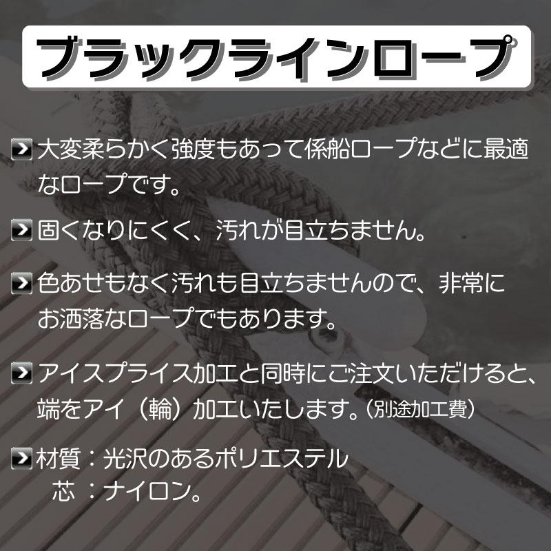係船ロープ ブラックラインロープ 22mm 船 船舶 ボート ボート用品