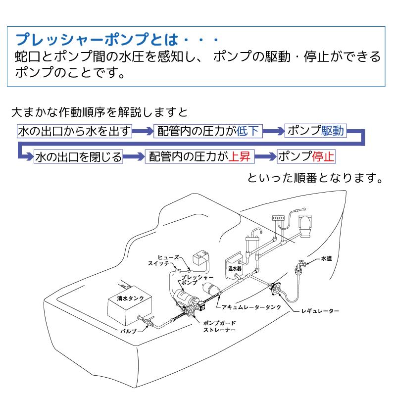 プレッシャーポンプ 24V アクアキング2 シュプリーム 5.0GPM 4158-163-E75 シャフロ Shurfloの画像