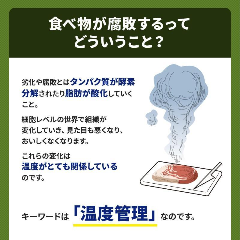ダイレイ（DAIREI） 冷凍庫 マイナス60度 家庭用 FB-77eco -60度