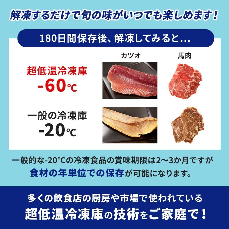 直接引取限定！ダイレイ冷凍庫マイナス60度！ 【公式通販】