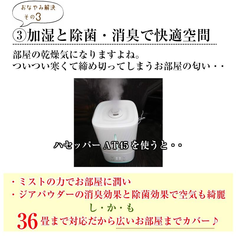 次亜塩素酸 除菌 噴霧器 ハセッパーAT45 抗菌 消臭 超音波 超音波式