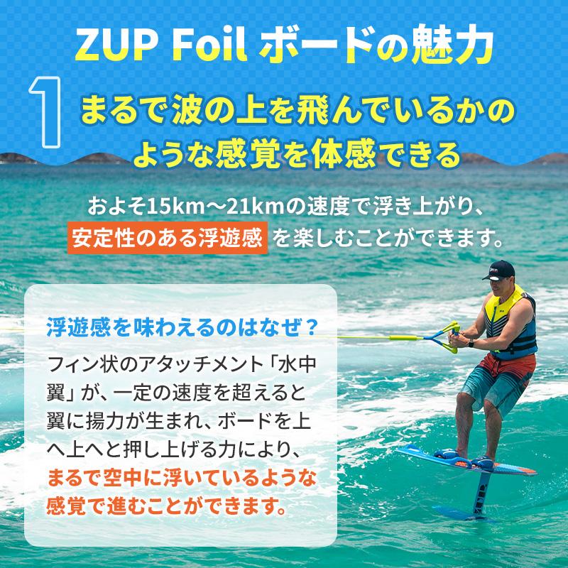 展示品 ZUP ザップ Domore+Foil ボード ロープセット ドゥーモア Foil