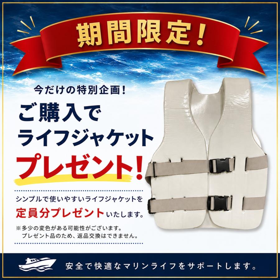 float フロート AIRHEAD COOL SWAN Float クールスワン AHPF-3018