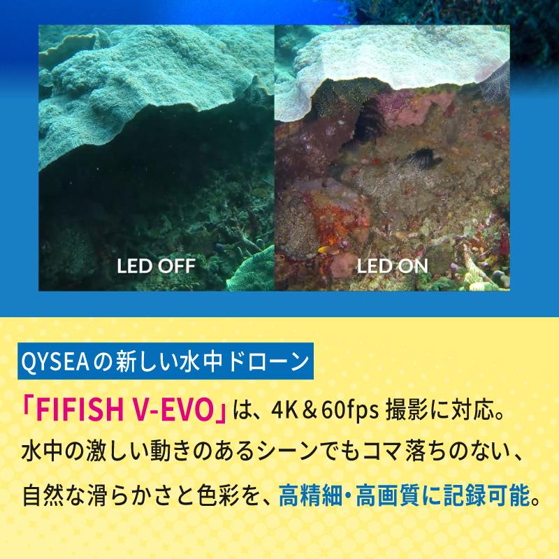 水中ドローン 水中 カメラ FIFISH V-EVO ARM SET ファイフィッシュ