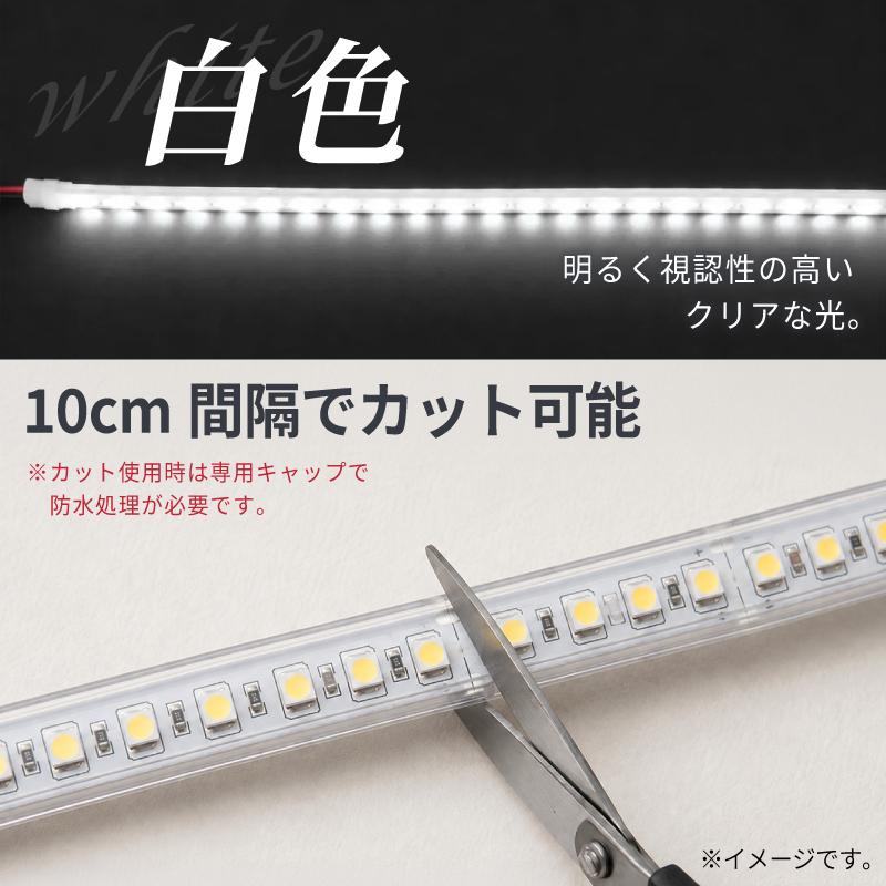 MARINTEC（マリンテック） テープライト LED 5m 12V 24V LEDテープ