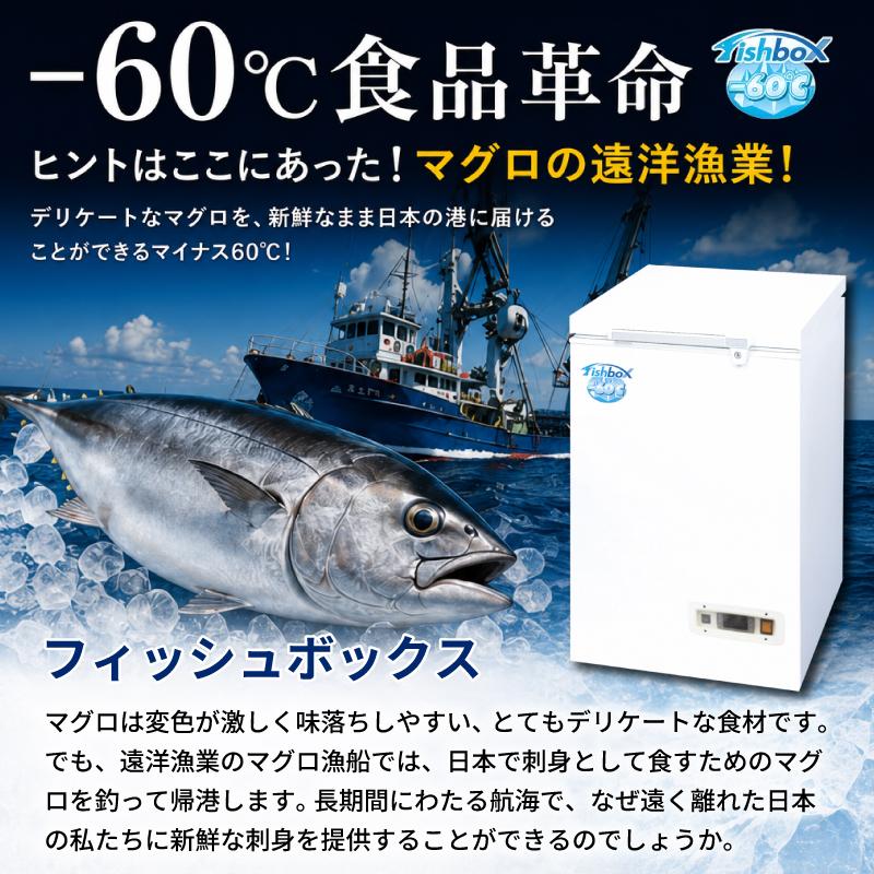 ダイレイ（DAIREI） 冷凍庫 家庭用 フィッシュボックス FBD-70C