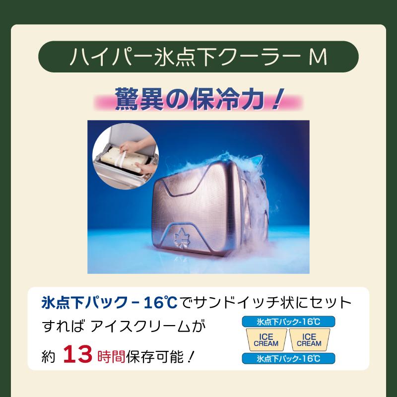 LOGOS（ロゴス） クーラーボックス 保冷剤 3点セット ハイパー氷点下
