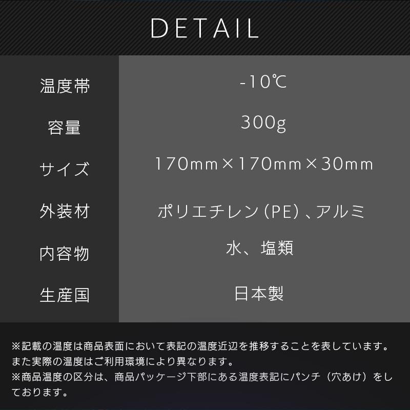 保冷剤 長時間 氷点下 2個セット アイスエナジー アルミソフトケース