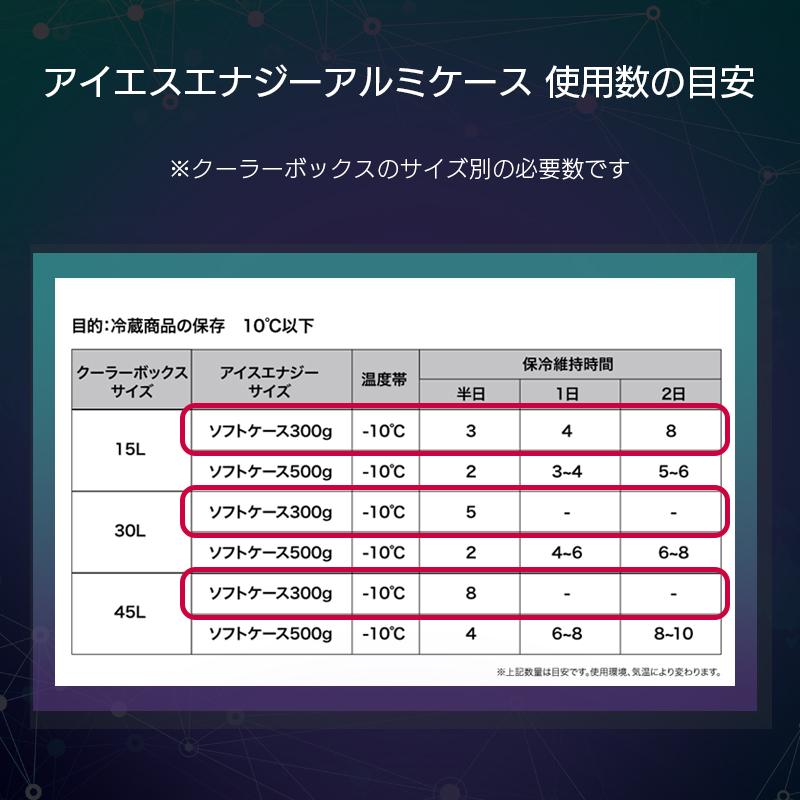 保冷剤 長時間 氷点下 2個セット アイスエナジー アルミソフトケース
