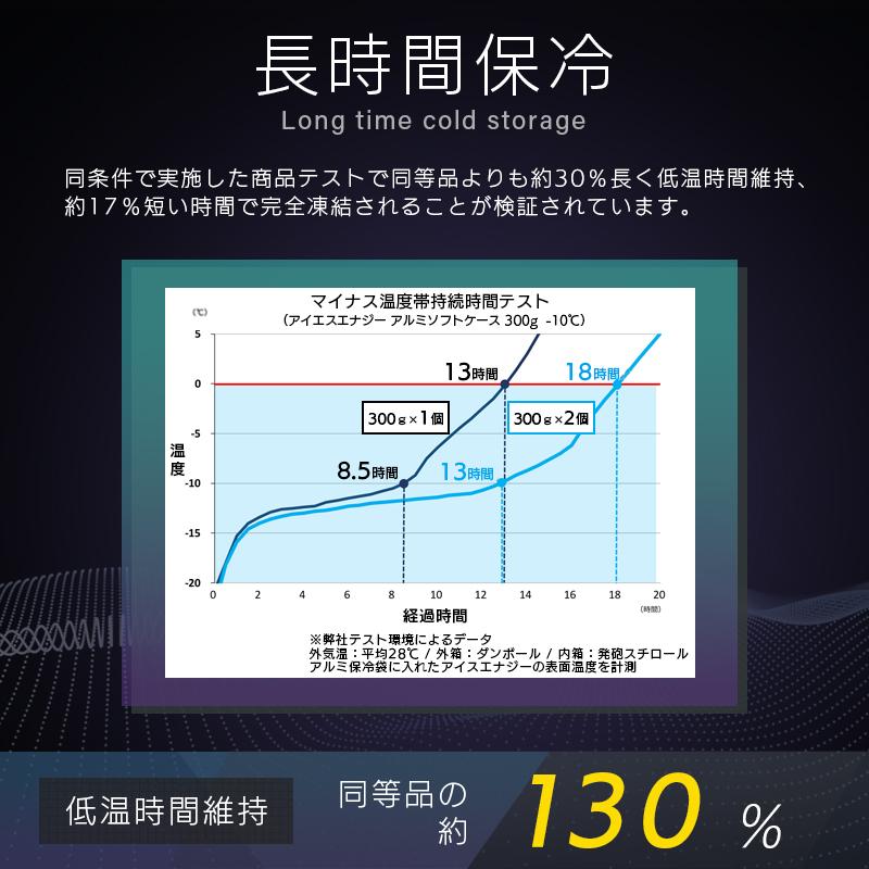保冷剤 長時間 氷点下 2個セット アイスエナジー アルミソフトケース