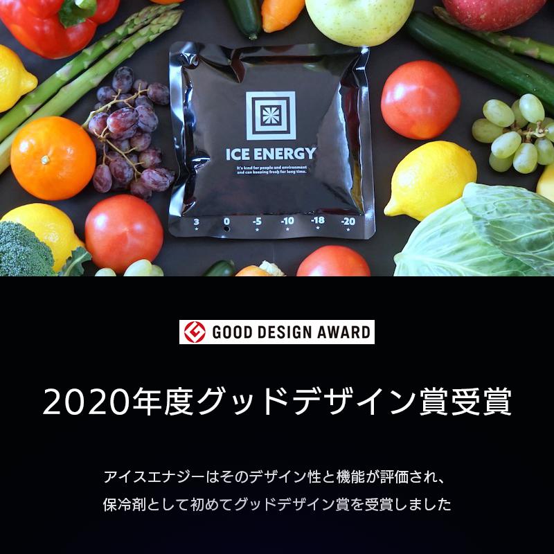 保冷剤 長時間 氷点下 2個セット アイスエナジー アルミソフトケース