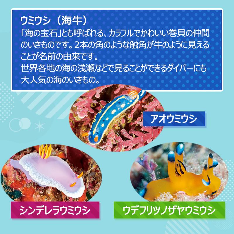 ペンケース かわいい ぬいぐるみ PEN CASE 全3種類 ウミウシ セト