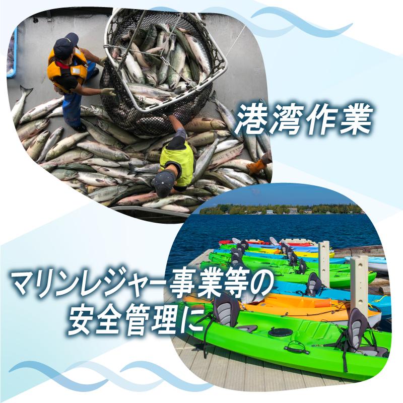 HELLY HANSEN（ヘリーハンセン） ライフジャケット 桜マーク 自動膨張