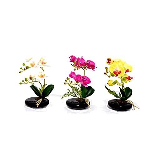 爆売り 光触媒 卓上型胡蝶蘭 奏 かなで ホワイト 1セット 12点 12点 値引 M Mahdi Net