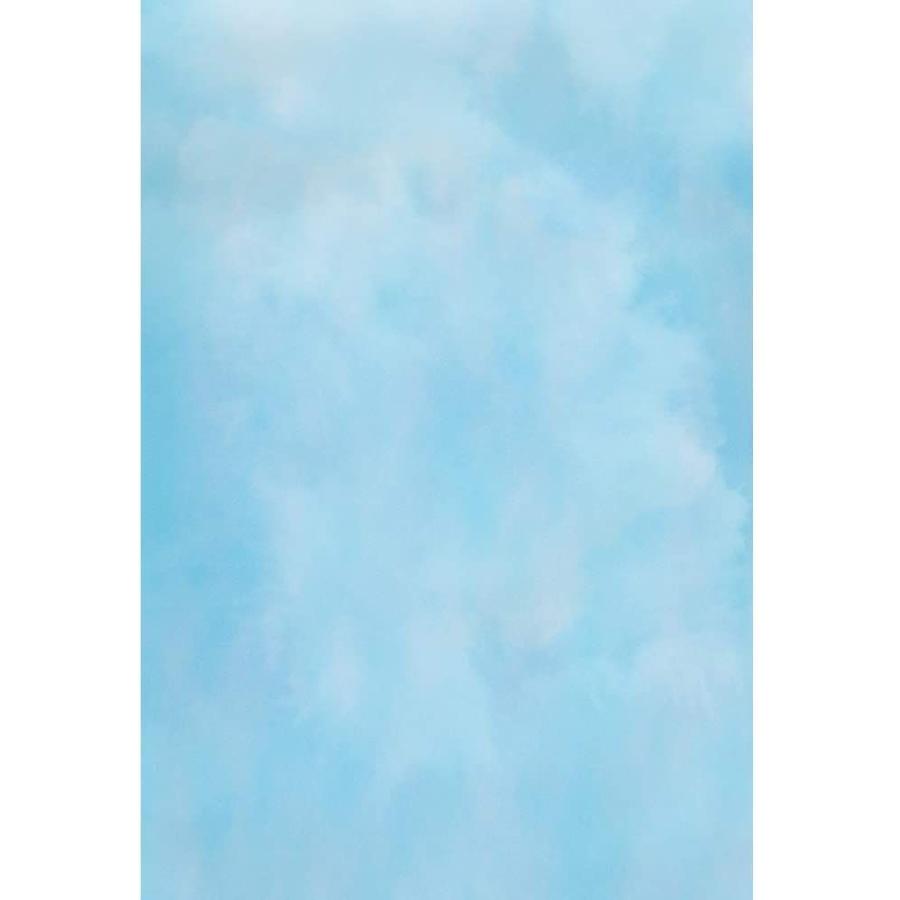 男の子向けプレゼント集結 カメラアクセサリー Qinunipoto 背景布 写真撮影用 背景 撮影 スカイブルーの背景 2 5x3m 写真の背景 ペットの写真の背景 ビニール製 無反射布 Www Threeriversofs Com