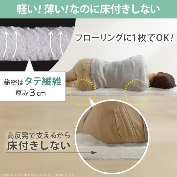 敷き布団 セミダブル 吸湿する1枚で寝られるオールインワン敷布団 〔カラリフトン〕 セミダブル 除湿 |  | 10