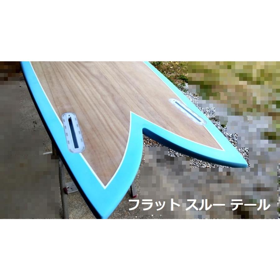 サーフボード フィッシュ Steve Lisモデル Grom5'10 エポキシEPS