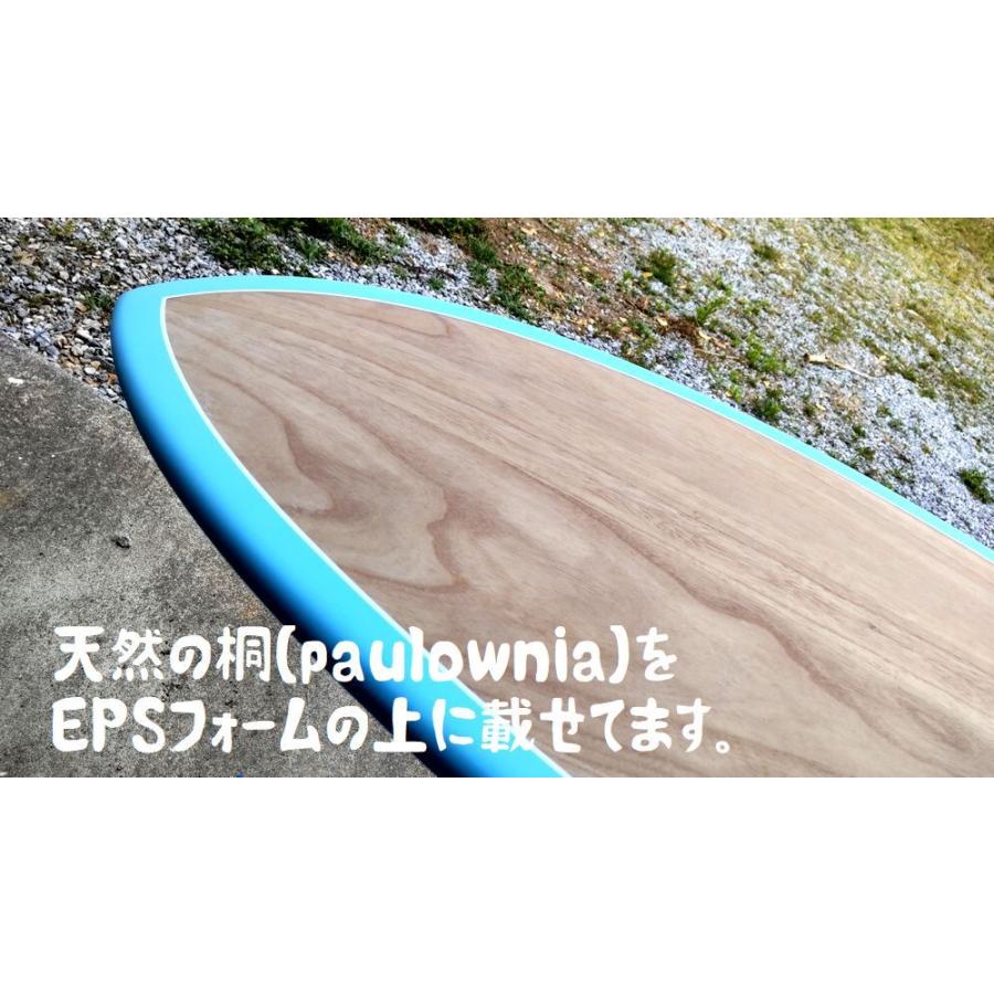 サーフボード フィッシュ Steve Lisモデル Grom5'10 エポキシEPS