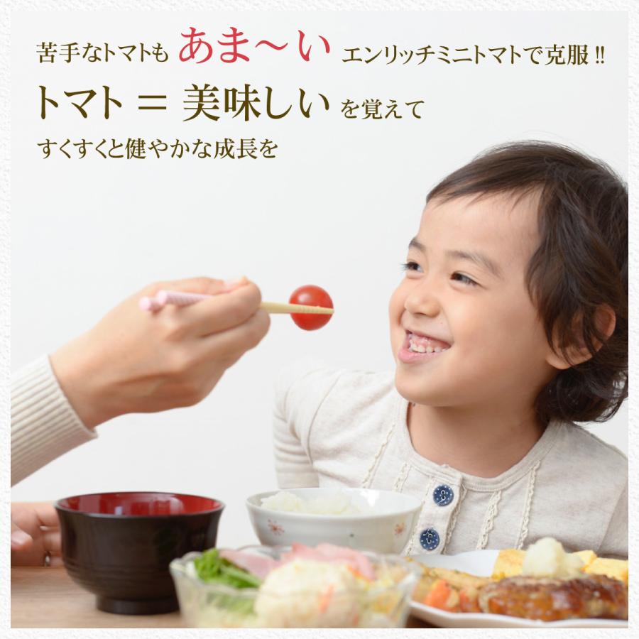 エンリッチミニトマト 1kg箱 X 5段（合計5kg） 送料無料 高糖度