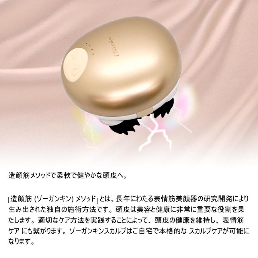 ゾーガンキンスカルプ CL-ZKS EMS ヘッドスパ[ZOGANKIN 造顔筋 ゾーガンキンスカルプ CL-ZKS EMS ヘッドスパ[ZOGANKIN 造顔筋