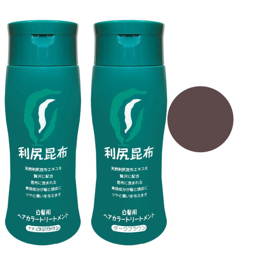 日本産 送料無料 2本セット 無添加 利尻ヘアカラートリートメント ダークブラウン 2本 Sastty サスティ 白髪染め 無添加 染毛料 利尻昆布エキス配合 第1位獲得 Www Sei Ba Gov Br