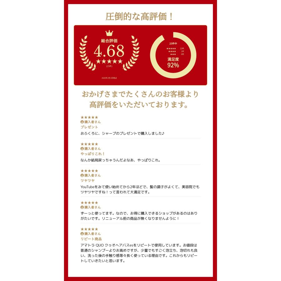 Amatora（アマトラ） [2本セット]アマトラ QUO クゥオヘアバスes詰替