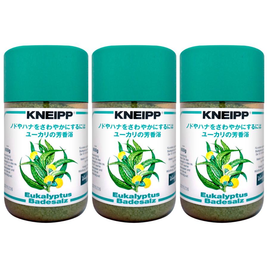 KNEIPP（クナイプ） [セット]クナイプ バスソルト 850g ユーカリ×3個