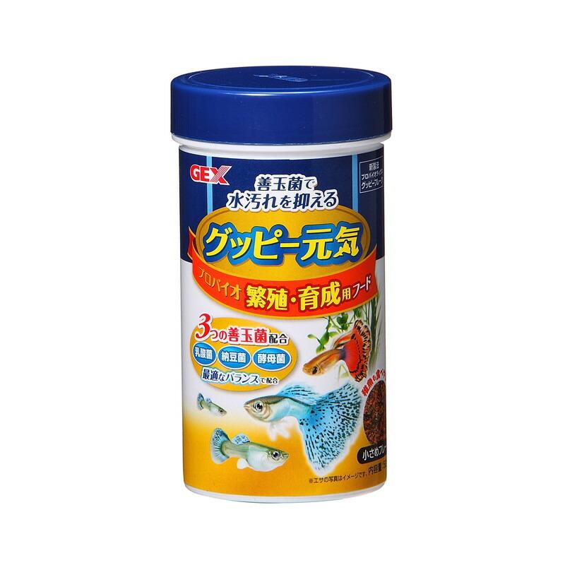 グッピー　１００匹以上 まとめて　５０００円 グッピー元気 ジェックス プロバイオ繁殖・育成用フード 52g[happiest