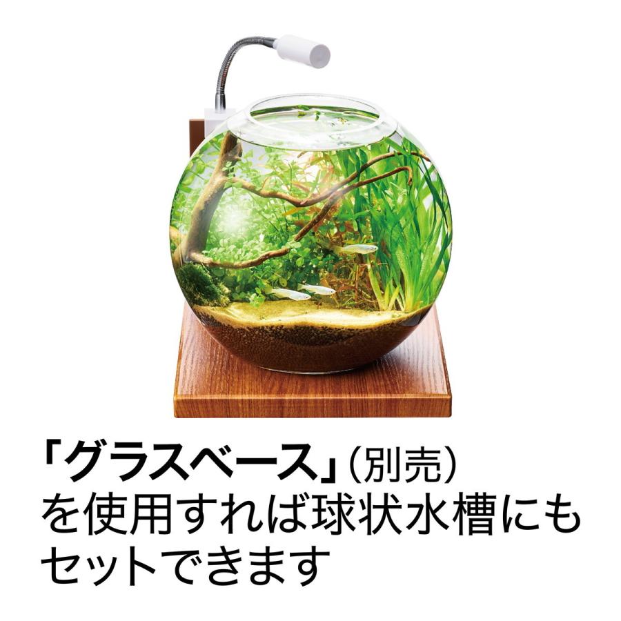 GEX（ジェックス） クリアLED ピテラ[happiest][SBT] : おしゃれcafe 