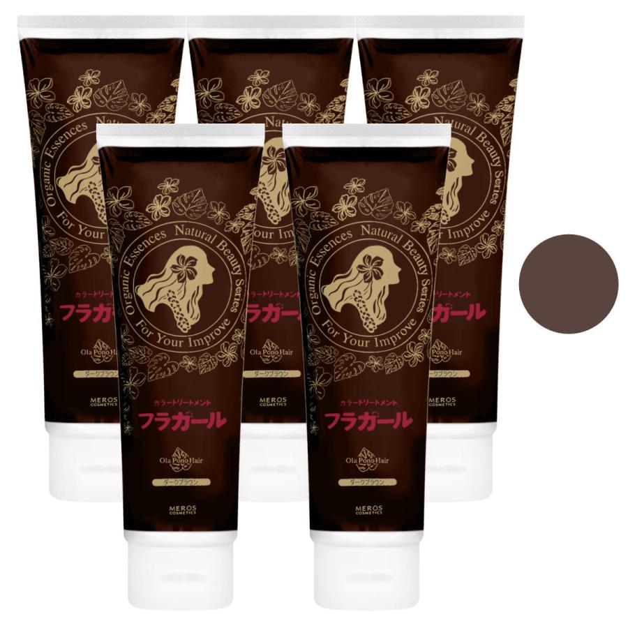 大人気 セット フラガール カラートリートメント 250g アッシュブラウン 3本 ヘアカラー 送料無料 Set1 最新人気 Nipun Co In