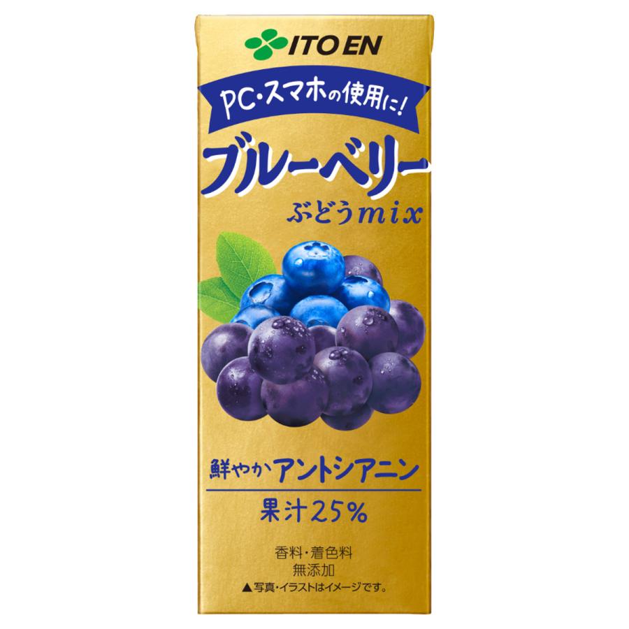 【72本】りんごmix100 濃い乳酸菌 ブルーベリーぶどうmixミルクコーヒー 伊藤園（ITO EN） ブルーベリー ぶどうmix 200ml 24本入り 紙パック