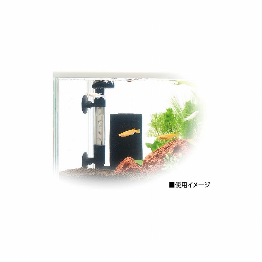 GEX（ジェックス） メダカ元気 メダカを育てるフィルターセット