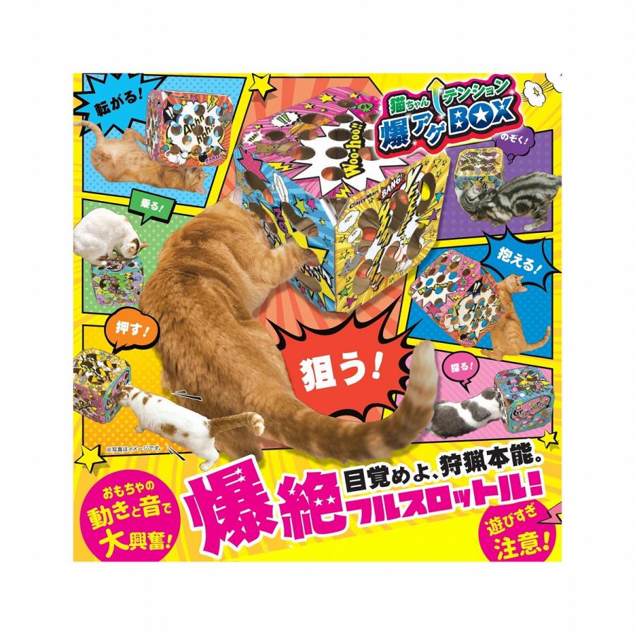 ドギーマン ドギーマンハヤシ 猫ちゃんテンション爆アゲBOX[happiest