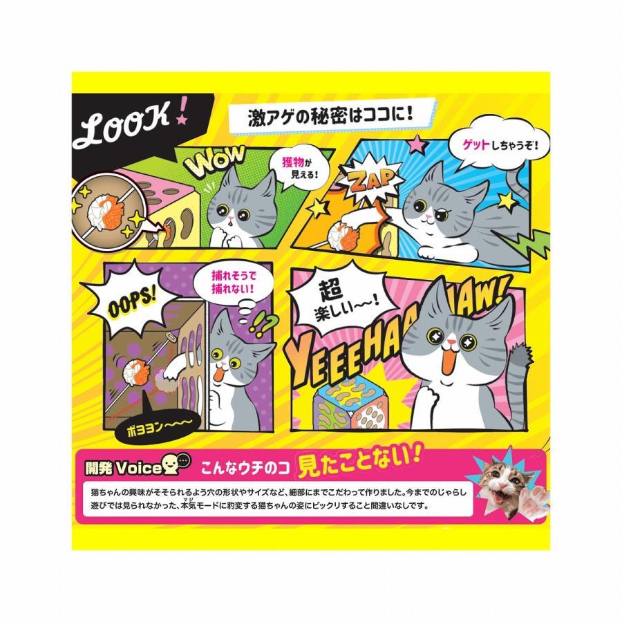 ドギーマン ドギーマンハヤシ 猫ちゃんテンション爆アゲBOX[happiest