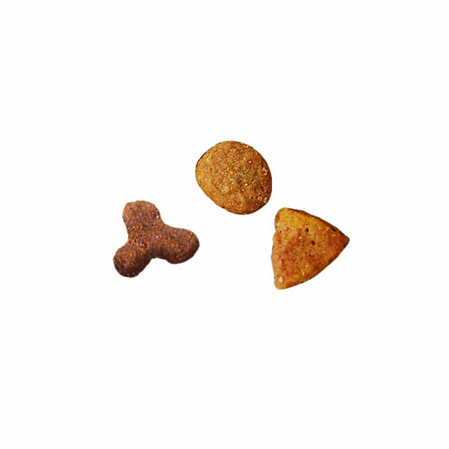 ネスレ日本 ピュリナワン猫室内1歳以上サーモンツナ2kg×6個 まとめ買い