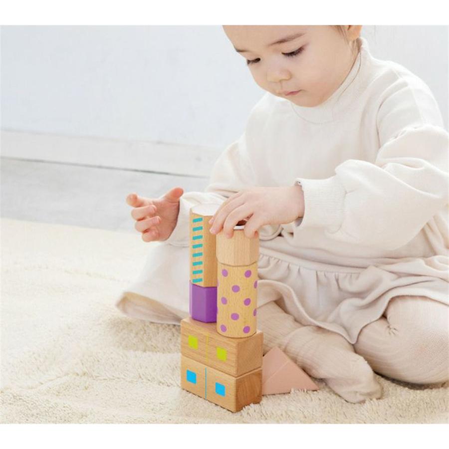 エド・インター（Ed・Inter） 音いっぱいつみきボリュームセット[1歳