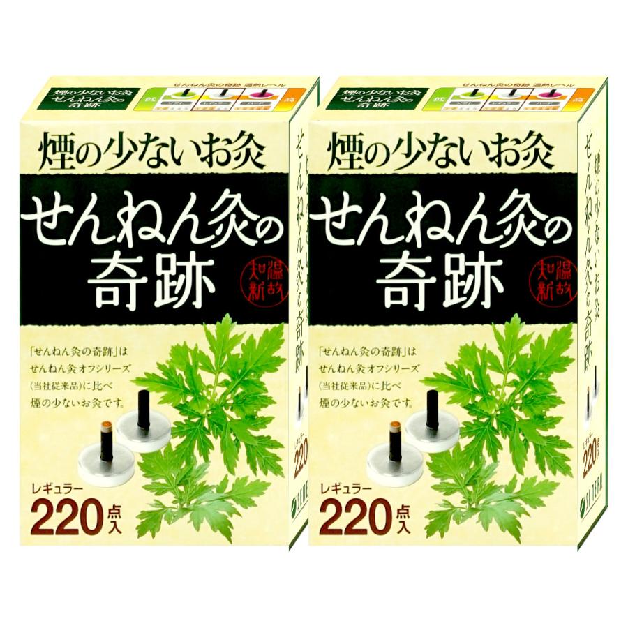 せんねん灸の奇跡 220点入り 【公式通販】