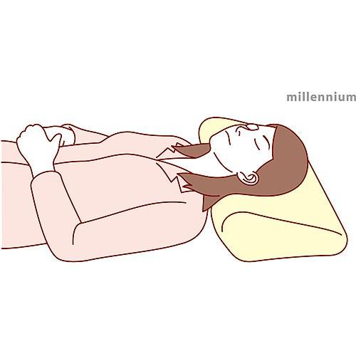 テンピュール（TEMPUR） エルゴプラスピローM [幅54cm 奥行32cm 高さ