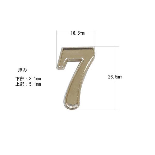 きのみページ☆ハンドメイド　レジン　7点 高難易度??モールドなし制作】DIY 6mm 厚さのドライフラワー