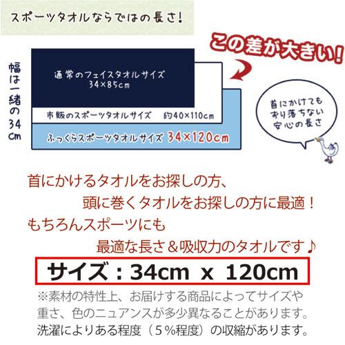 ふっくら スポーツタオル  ２枚セット 厚手ｘロングサイズ 538匁 お試し 送料無料 業務用 フェイスタオル ホテルフェイスタオル カラータオル 子供 幼稚園｜oshibori｜05