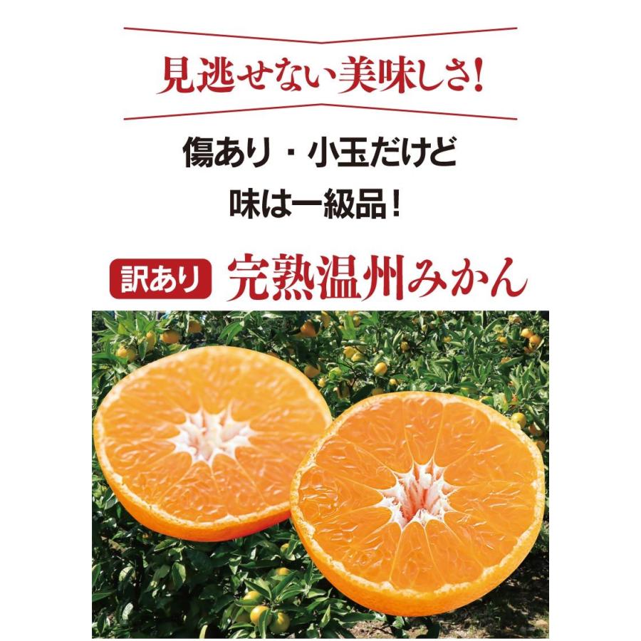 訳ありみかん 2.5kg 【3箱以上購入で送料無料】 温州みかん 小玉いミカン 蜜柑 柑橘 わけあり 傷あり ＜1週間から2週間でお届け＞｜oshimaya-1991｜02